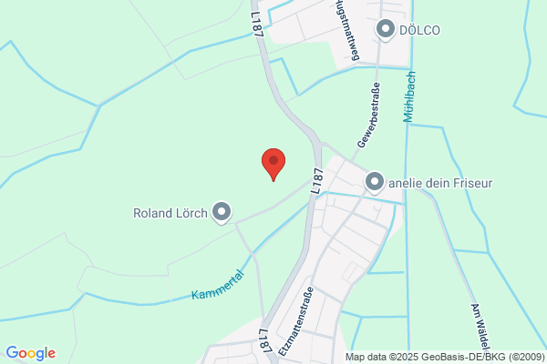 N.A. Dogs | Hundetrainer Freiburg | Hundeschule Freiburg | Hundeberatung Freiburg