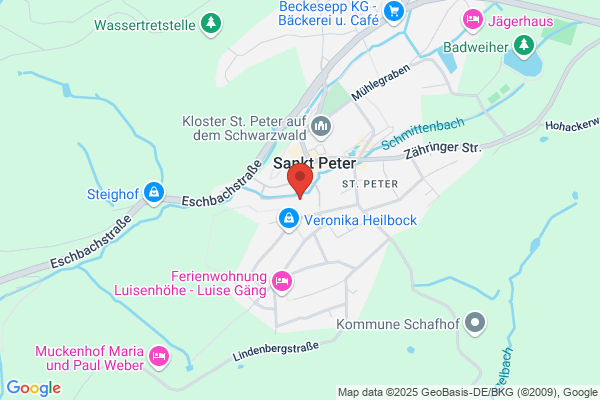Musicosophia-Schule