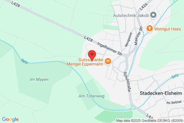 DOLI Elektronik GmbH