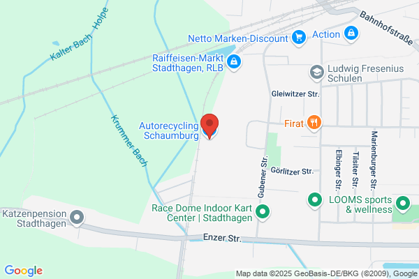 Autorecycling Schaumburg