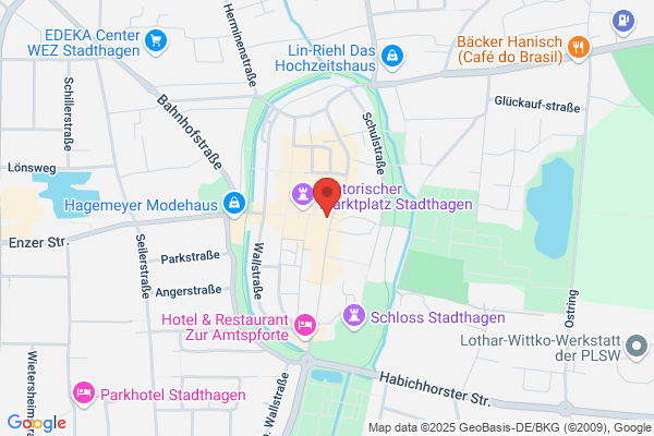 Schwarzer Adler