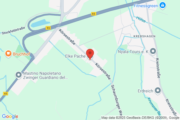 Elke Pache