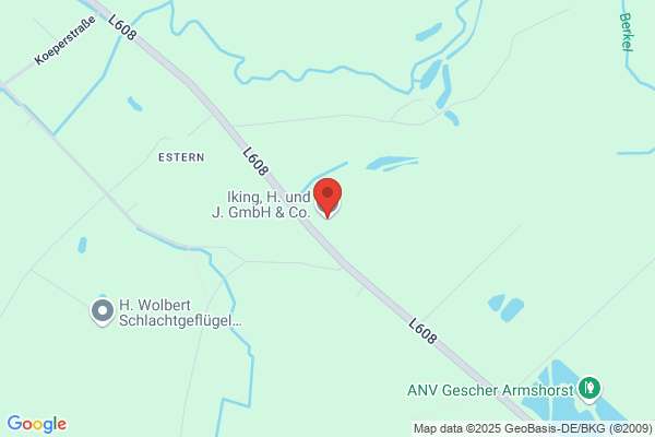 Iking, H. und J. GmbH & Co. KG