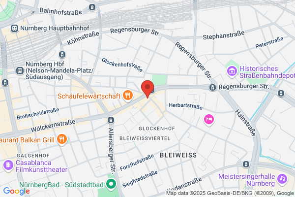 Alleinunterhalter Sänger mit