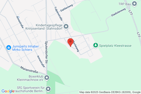 Assmann Dr. GmbH