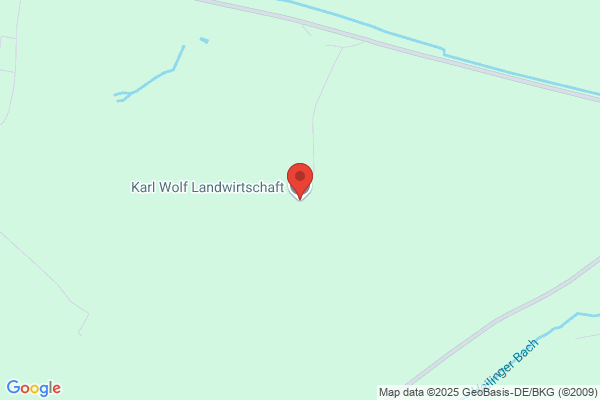 Karl Wolf