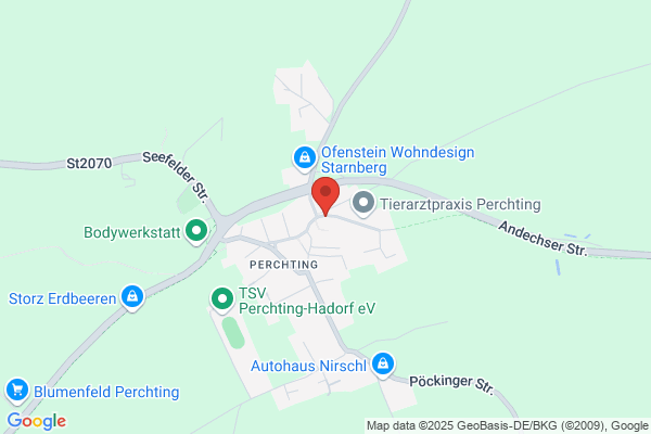 Die Bücherretter