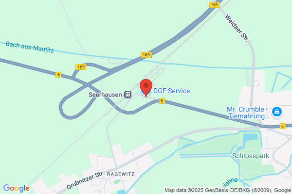 DGF Service GmbH