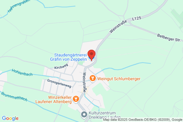 Zeppelin von Gräfin