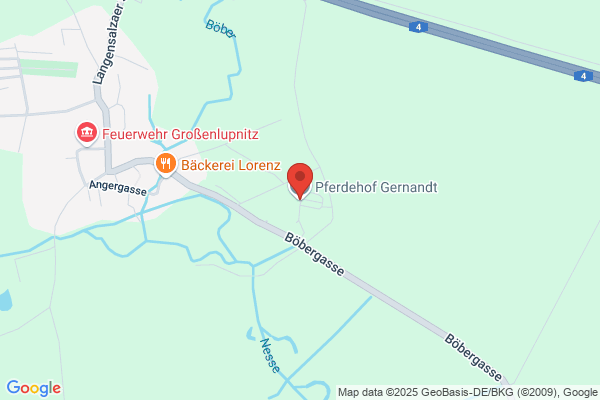 Pferdezuchtbetrieb Inh. Karsten Nörenberg