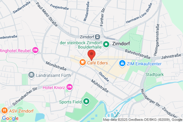 Goldener Löwe Zirndorf