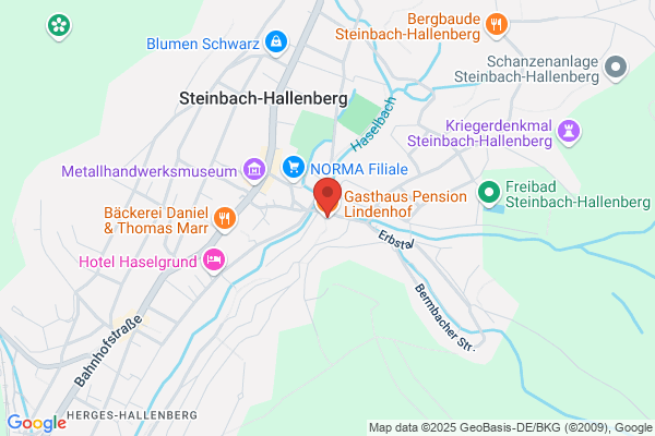 Lindenhof Gasthaus, Pension