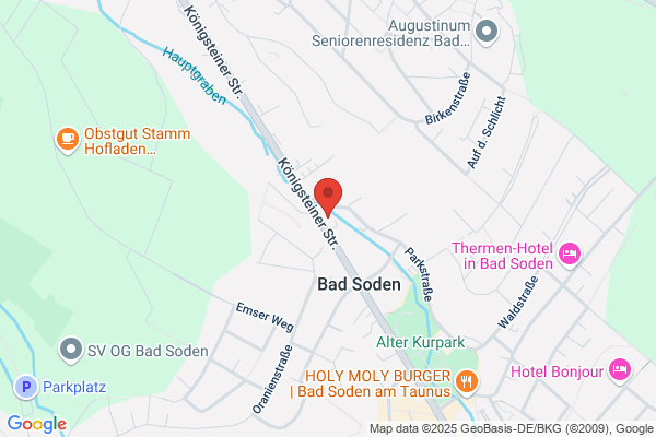 Duden Institut für Lerntherapie Bad Soden am Taunus