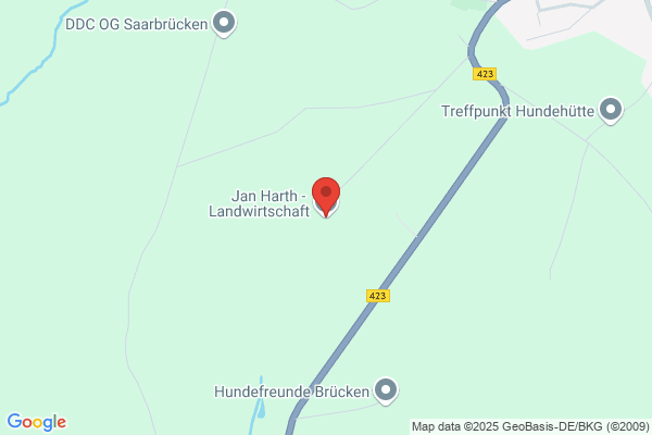 Rüdiger Harth