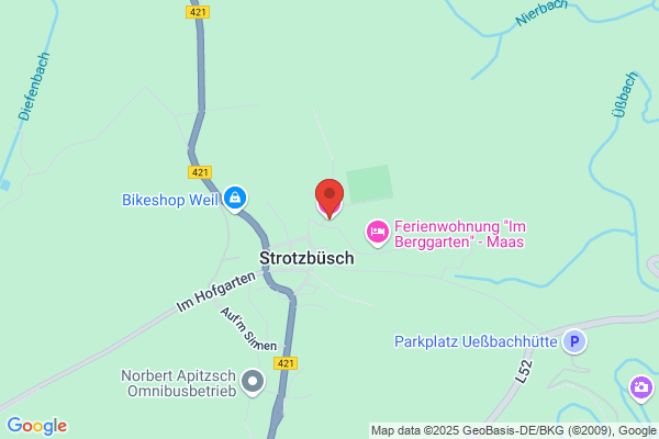 Diedrichs Heidi