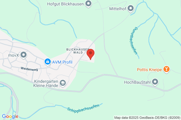 Winfried Hammer