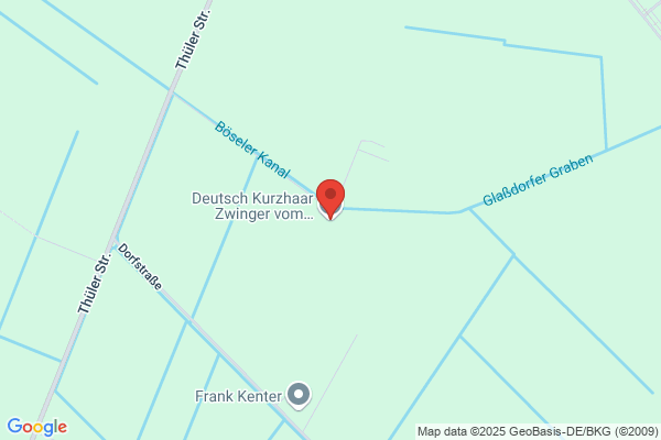 Deutsch Kurzhaar Zwinger vom Ondruper Berg