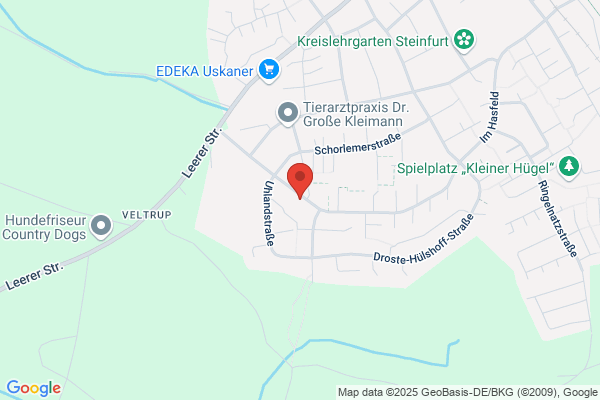 Gysbers Umzüge