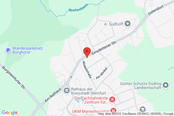 Dipl. Kaufmann Detlef Rhein