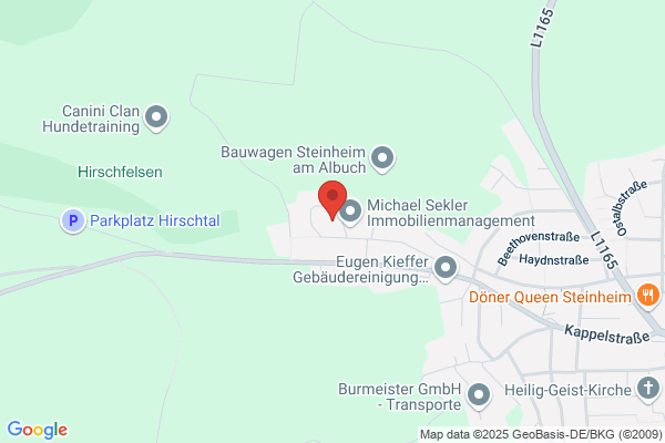 steinheim-einzig-ART-ig