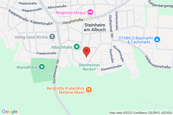 Musikschule Steinheim