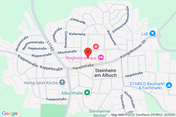 Steinheimer Projektbau GmbH