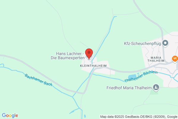 Hans Lachner - Die Baumexperten