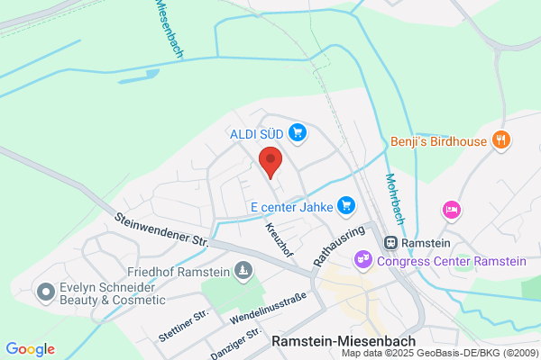 EVS Elect. Service GmbH