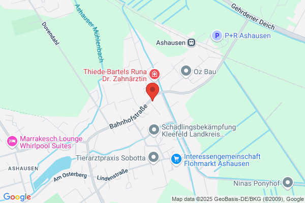 Die Wurzelzwerge