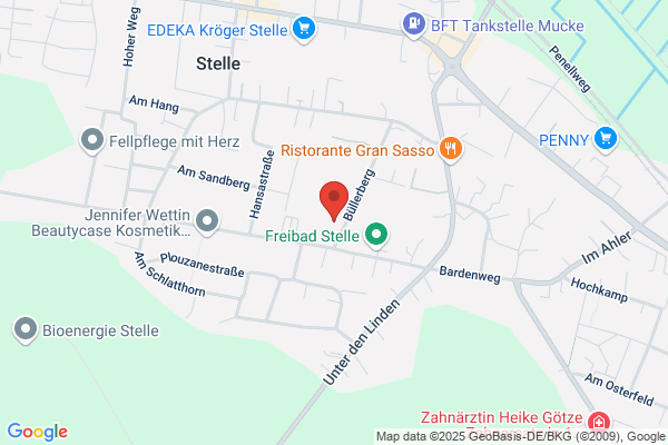 Oberschule am Buchwedel