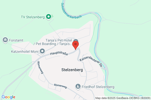 Freitag