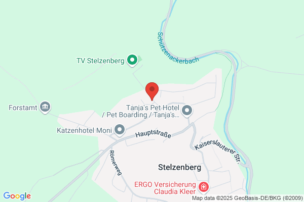 ZaunCompany GmbH