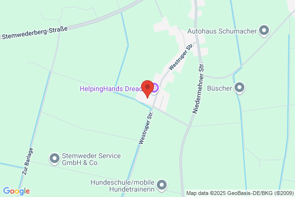 Grundschule Westrup
