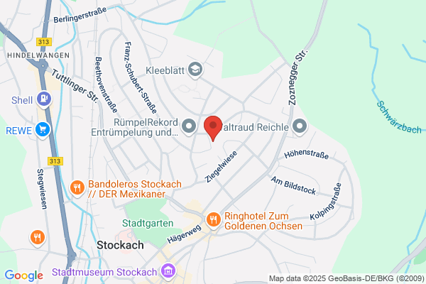 Privat- und Business Coach - Business-Trainer