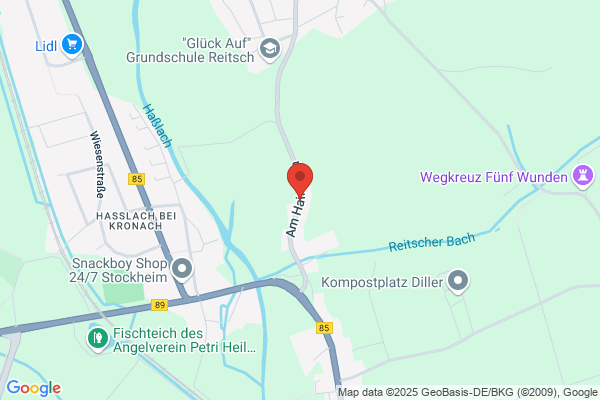 Ilse Kramp