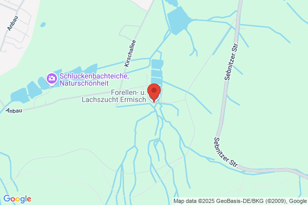 Ermisch