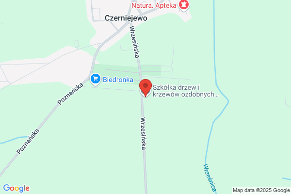 Pietraszak