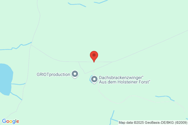 Griotproduction GmbH
