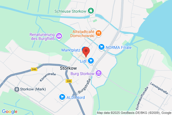 Storch