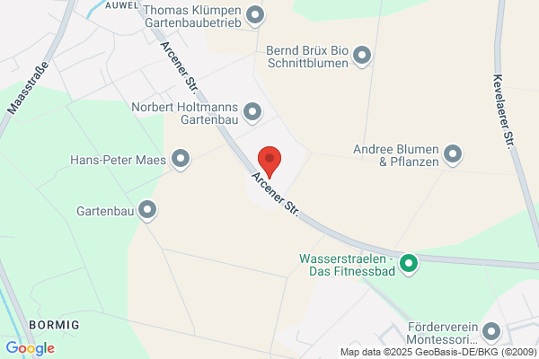 Burgmer Baumschulerzeugnisse, Heinrich