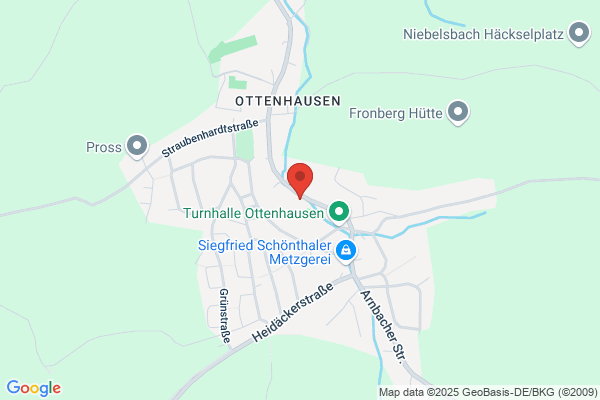Willi Schaber