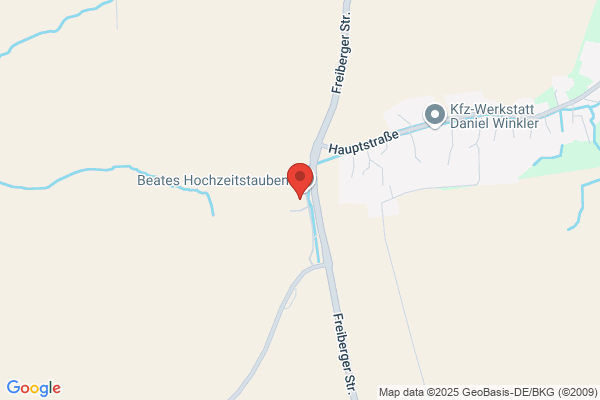 Rescue-Mittelsachsen