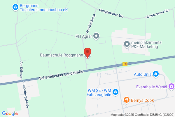 Bernhard Roggmann