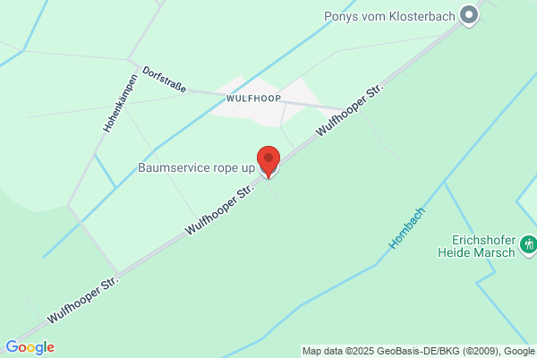 Baumservice rope up