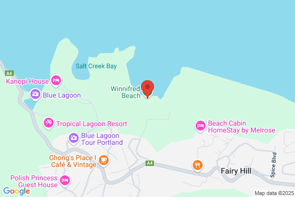 Winfried Bay