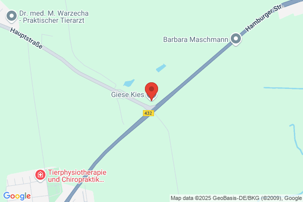 Giese Kiesaufbereitungs GmbH
