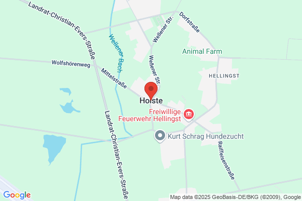 Holste, Kerstin Coats GmbH