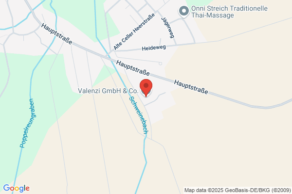 Valenzi GmbH & Co. KG