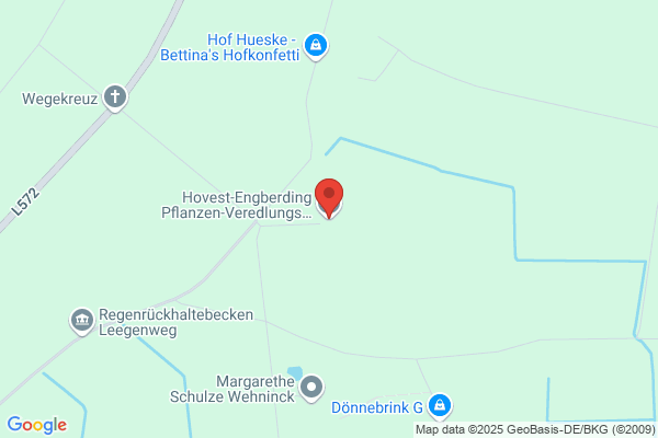 Hovest-Engberding