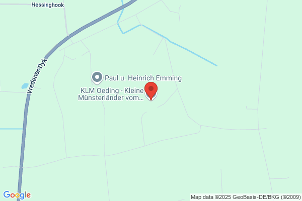 Kleiner Münsterländer Zwinger vom Berkelsee